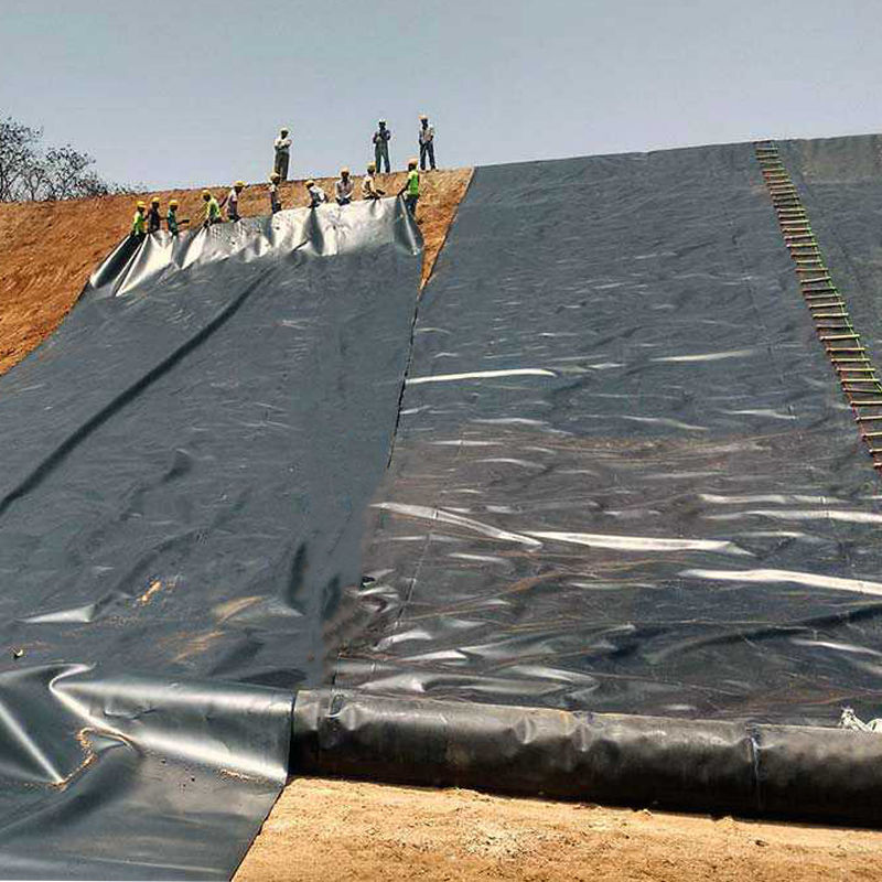 0.75-2.5mm HDPE Geomembrane Liner d'étang Pour les décharges de poissons crevettes d'étang Dam Liner d'étang Mines