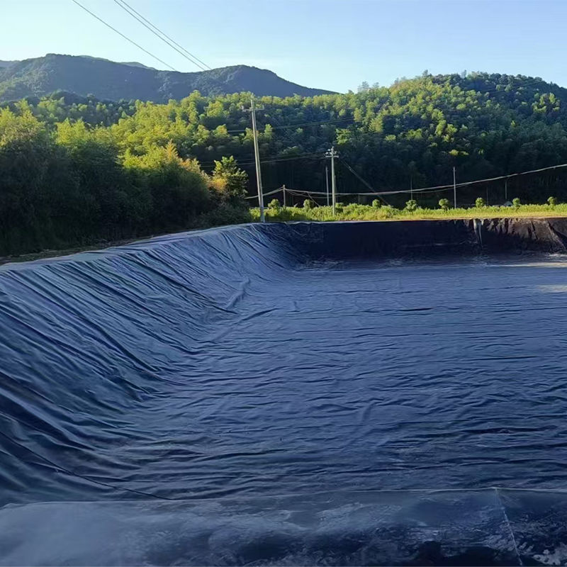 0.75-2.5mm HDPE Geomembrane Liner d'étang Pour les décharges de poissons crevettes d'étang Dam Liner d'étang Mines