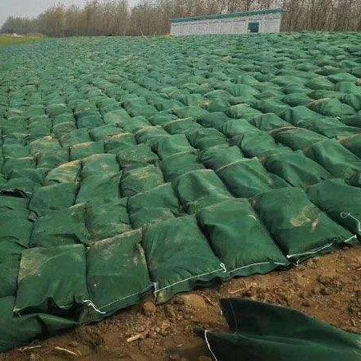 Geotextile environnementale de qualité supérieure Geobag PP Pet Geotextile non tissé Tissu tissé de couleur blanche Geotextile Geobag