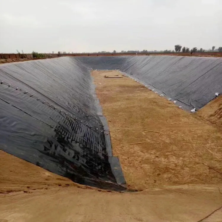 Liner de géomembrane en PEHD pour l'aquaculture, l'élevage de poissons, les étangs, les barrages, les piscines et les applications de confinement de l'eau