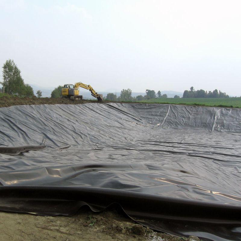 Liner noir dur Hdpe étanche à l'eau Liner étang géomembrane Polyethylène prix d'usine à vendre