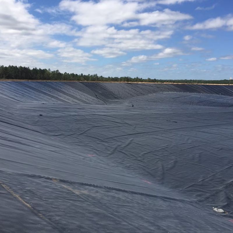 Liner noir dur Hdpe étanche à l'eau Liner étang géomembrane Polyethylène prix d'usine à vendre