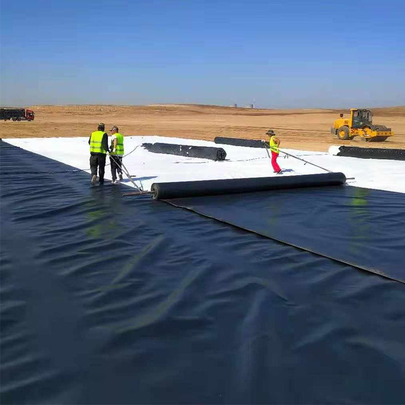 0.3mm/0.4mm/0.6mm/0.75mm/1mm/1.4mm/1.5mm 20mil 30mil 40mil PEHD Geomembrane Liner d'étang / fabricant de géomembranes Prix du distributeur d'usine