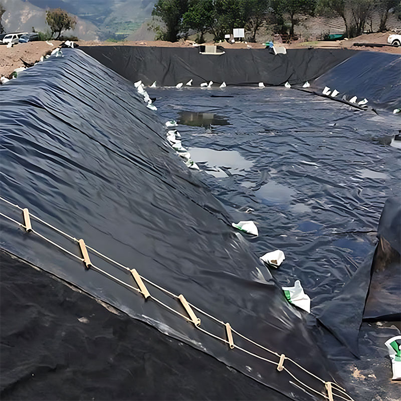 0.3mm/0.4mm/0.6mm/0.75mm/1mm/1.4mm/1.5mm 20mil 30mil 40mil PEHD Geomembrane Liner d'étang / fabricant de géomembranes Prix du distributeur d'usine