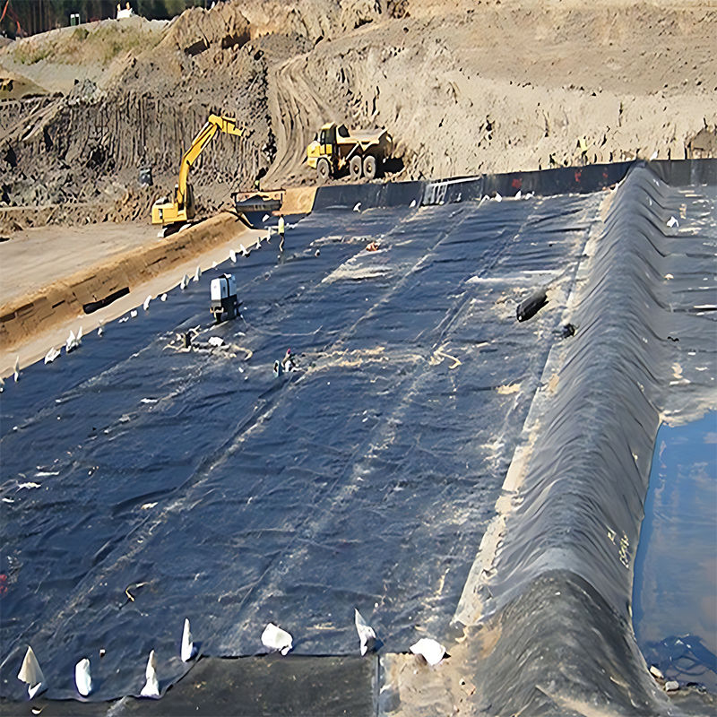 0.3mm/0.4mm/0.6mm/0.75mm/1mm/1.4mm/1.5mm 20mil 30mil 40mil PEHD Geomembrane Liner d'étang / fabricant de géomembranes Prix du distributeur d'usine