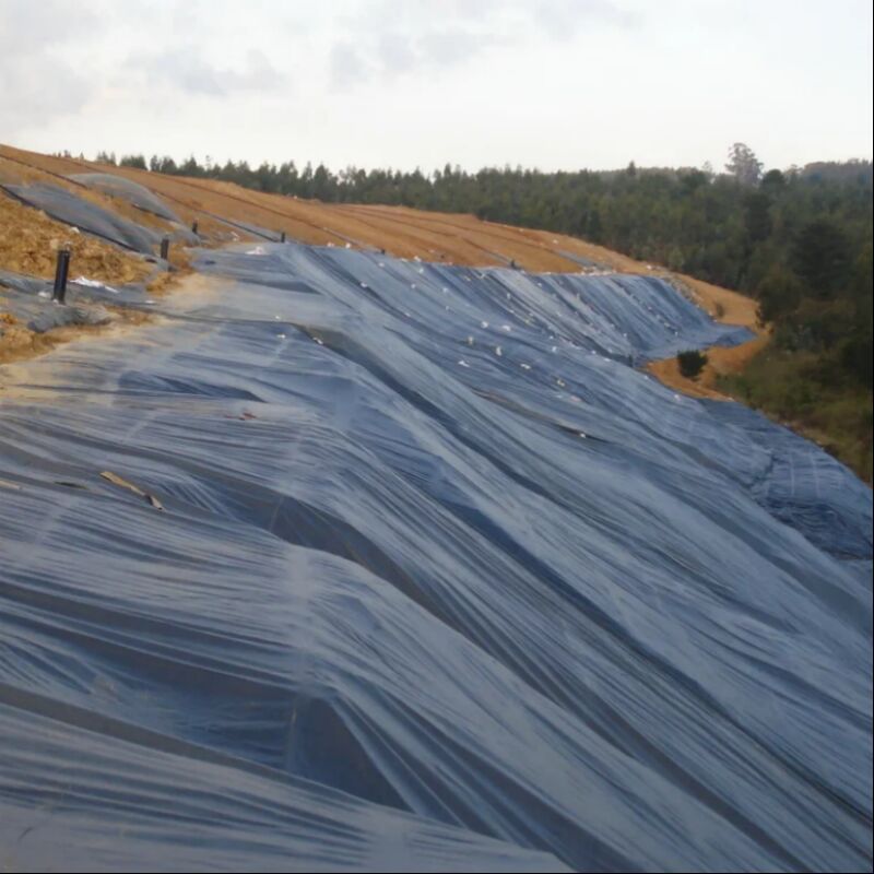 Surface lisse imperméable à l'eau Étagères agricoles Élevage de crevettes de poisson Lac artificiel Décharge de déchets HDPE Géomembrane