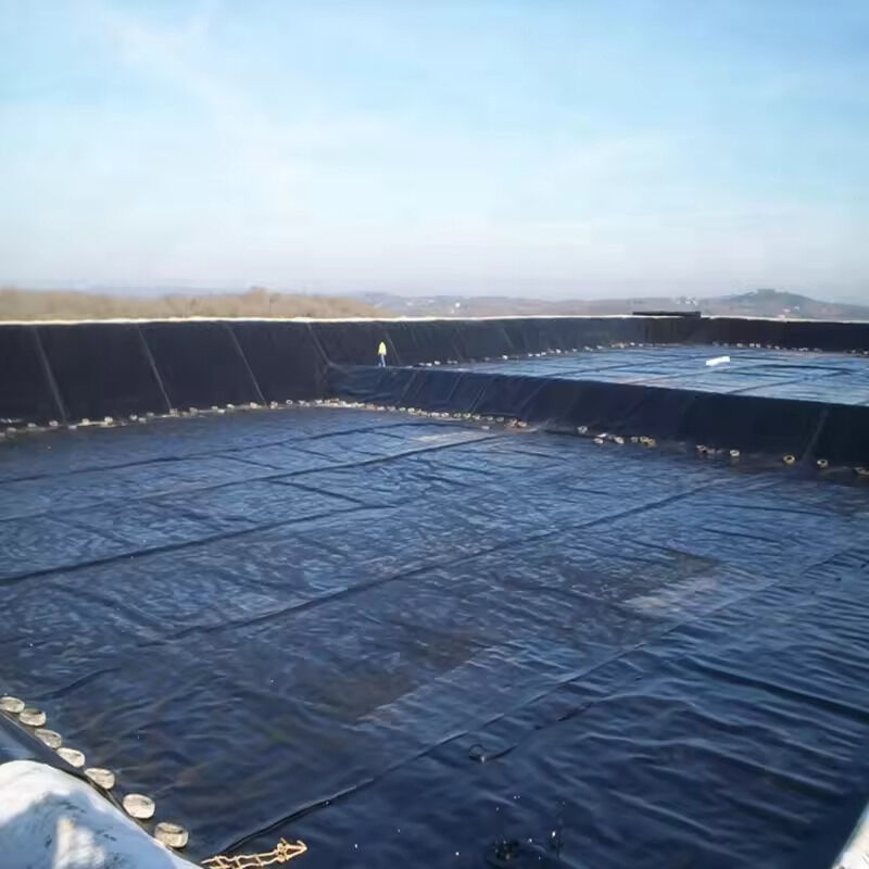 Membrane géomembrane en HDPE noir durable de 0,5 mm à 2,0 mm pour bassins à poissons circulaires, stockage d'eau en aquaculture, réservoirs et applications d'étanchéité de barrages